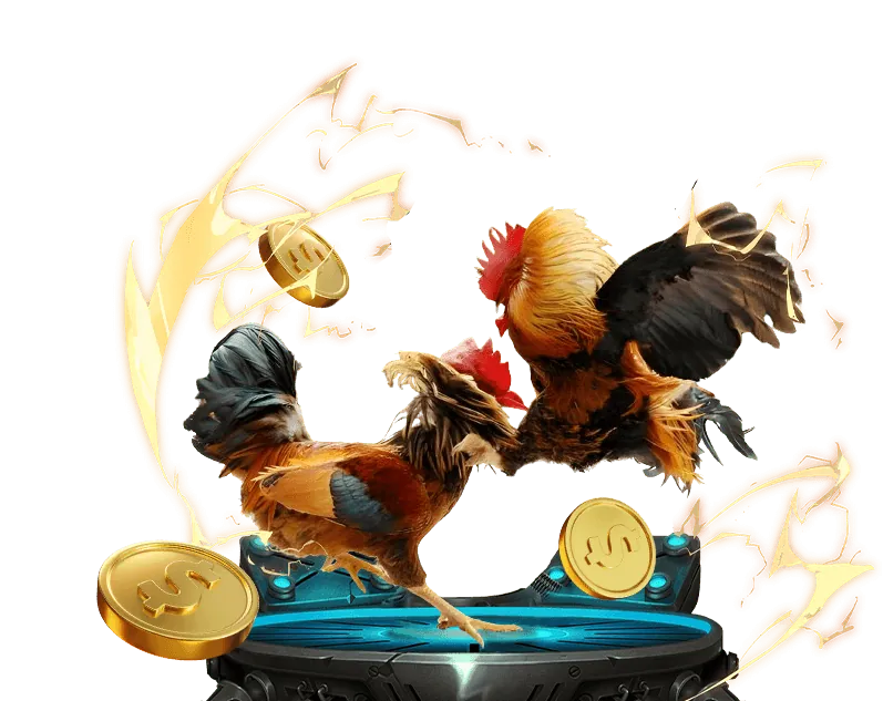 Cá cược tennis df999