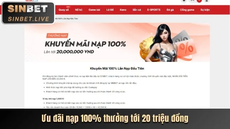 Hoàn trả không giới hạn DF999